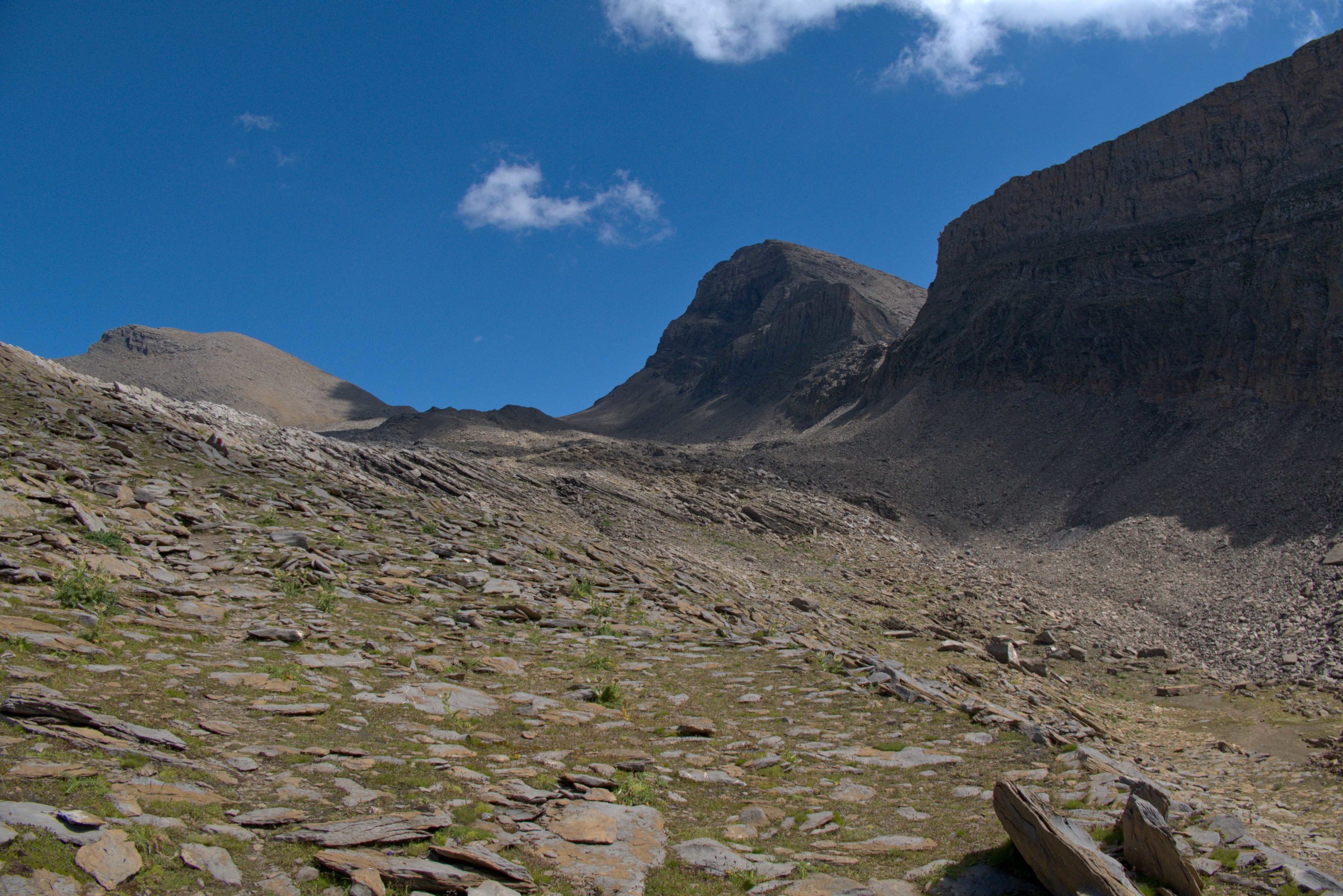 P1009235.jpg