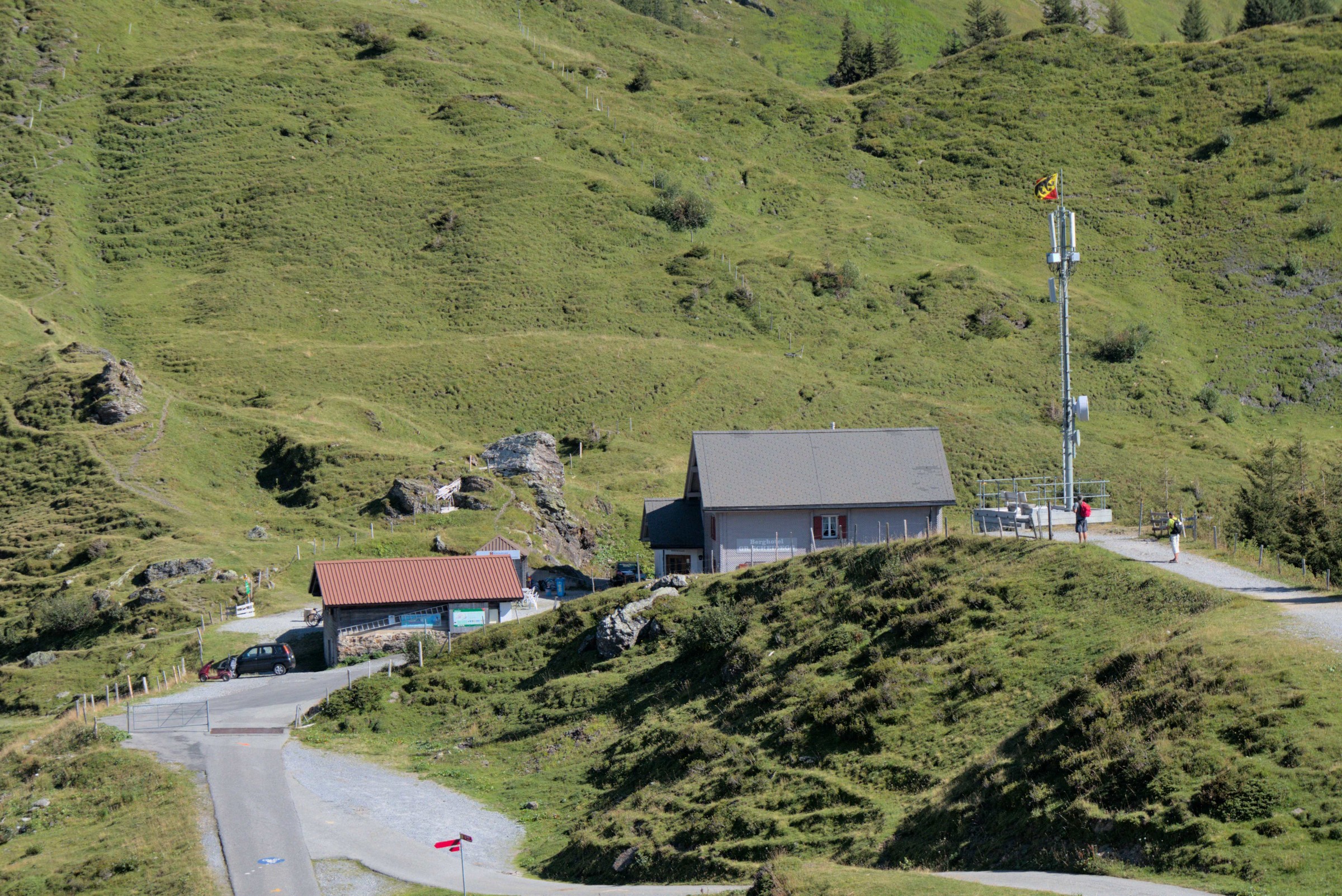 P1009315.jpg