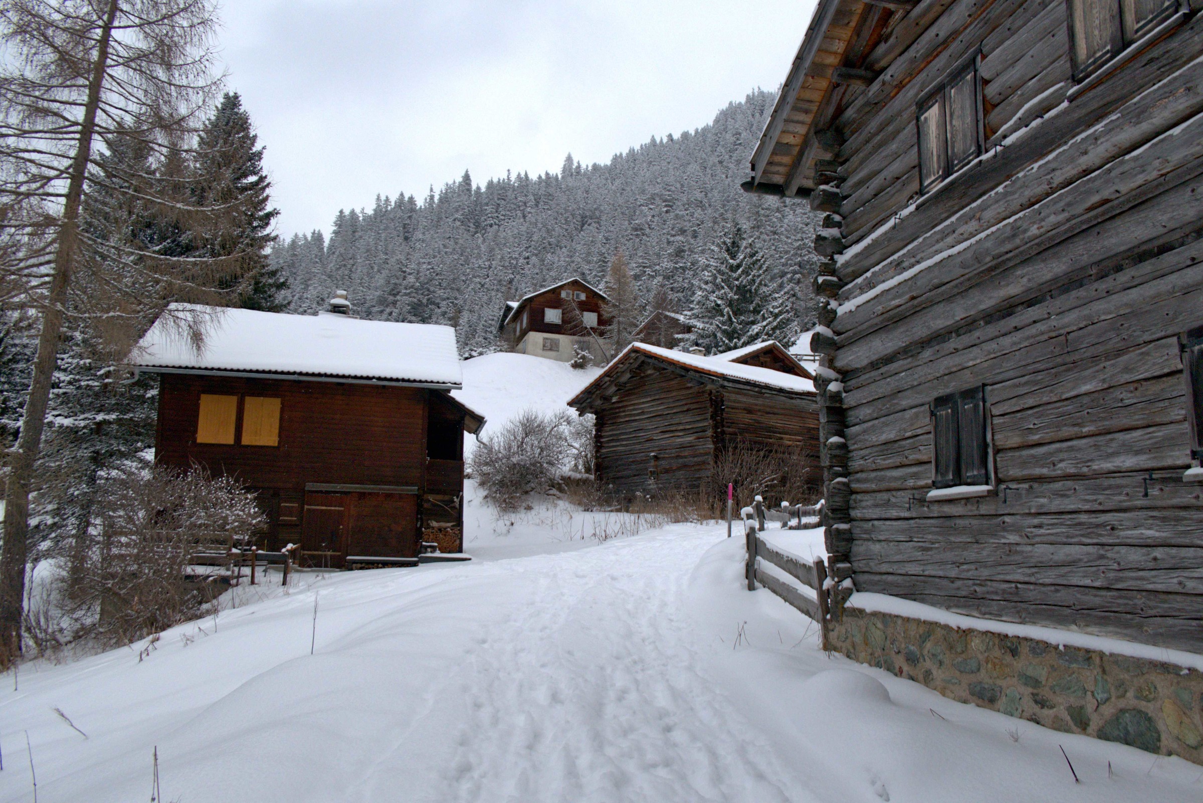 P1010375.jpg