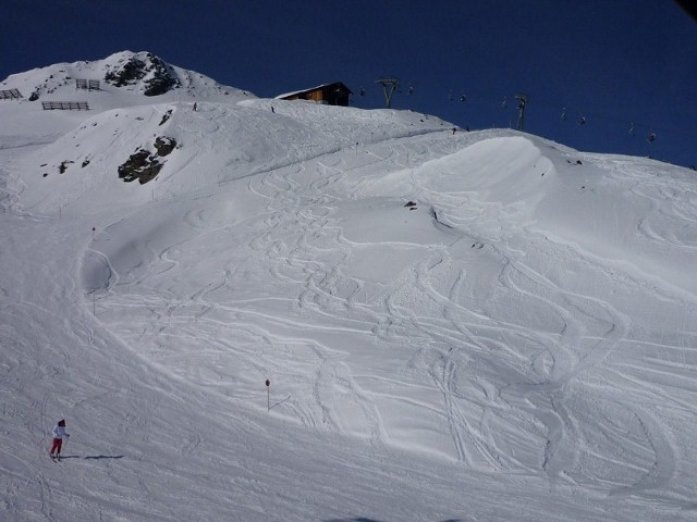 P1010476.jpg