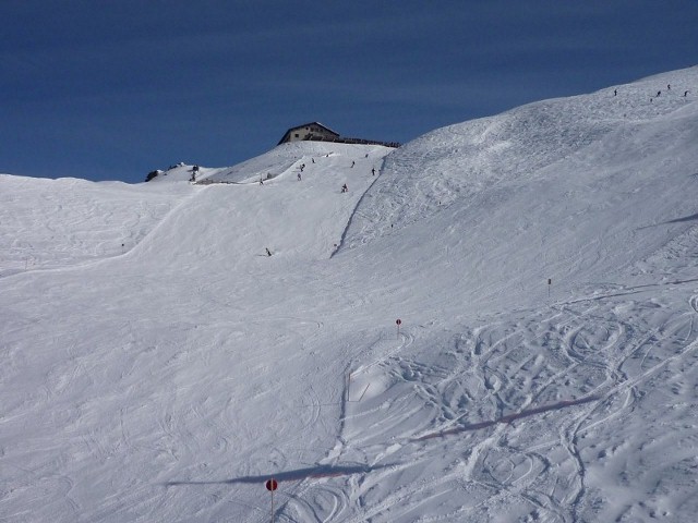 P1010494.jpg