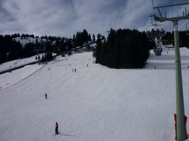 P1010509.jpg