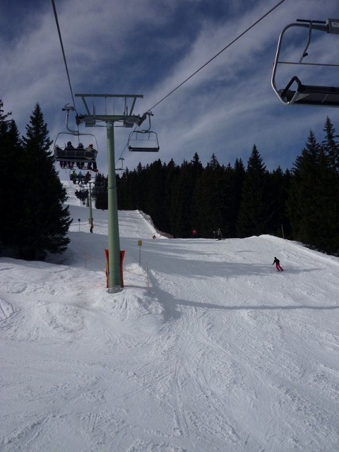 P1010515.jpg