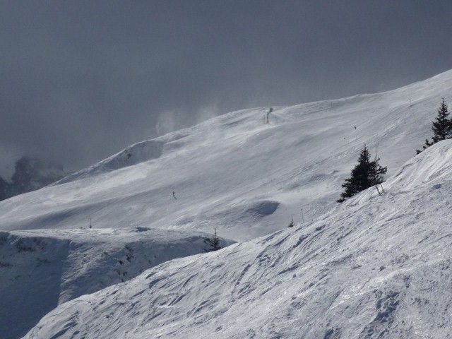P1010538.jpg