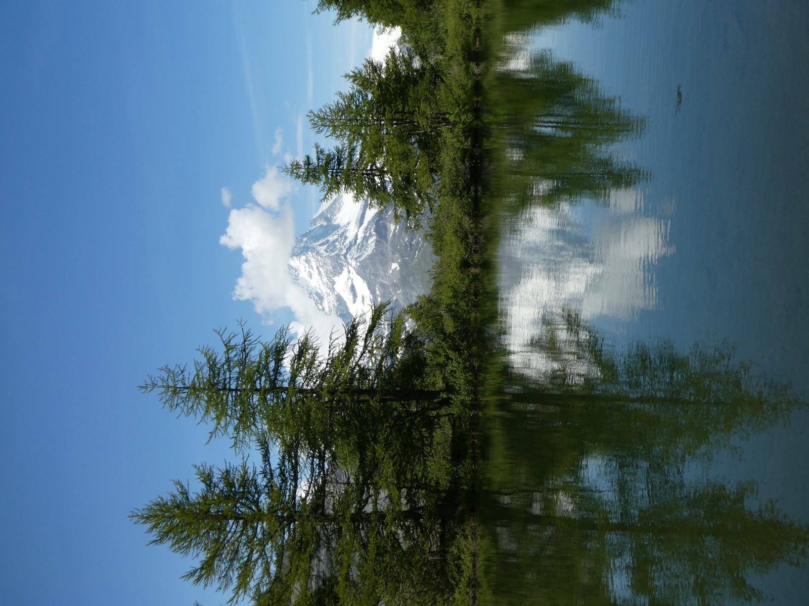 P1010572.JPG