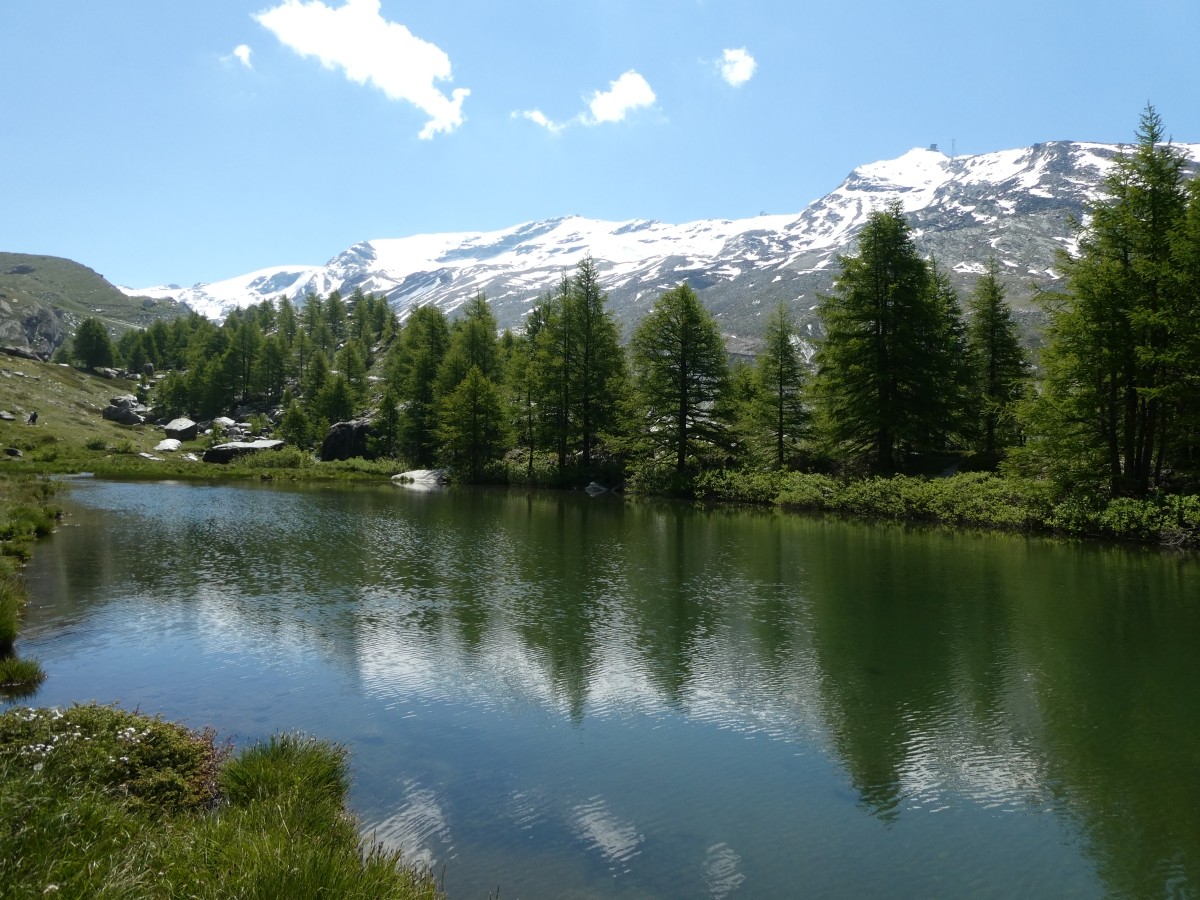 P1010575.JPG