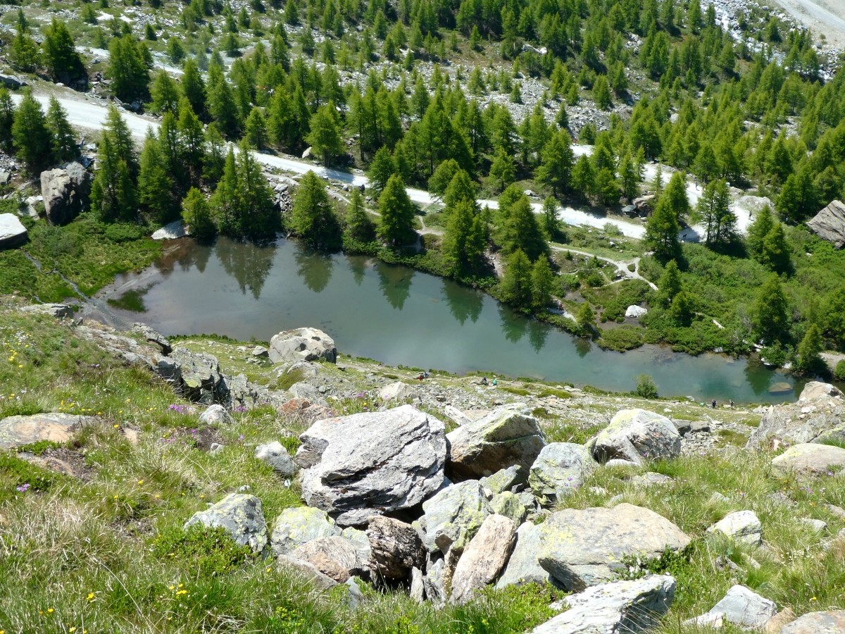 P1010585.JPG