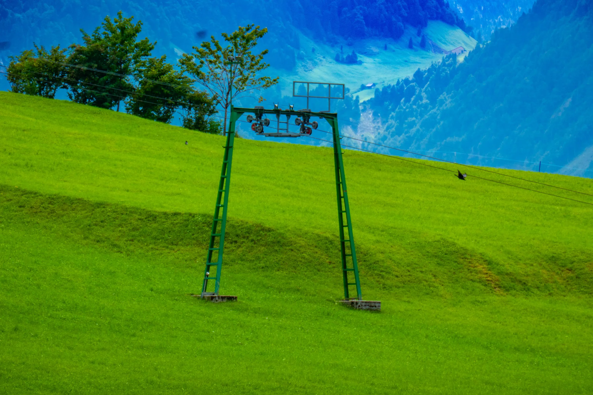 P1036258.webp