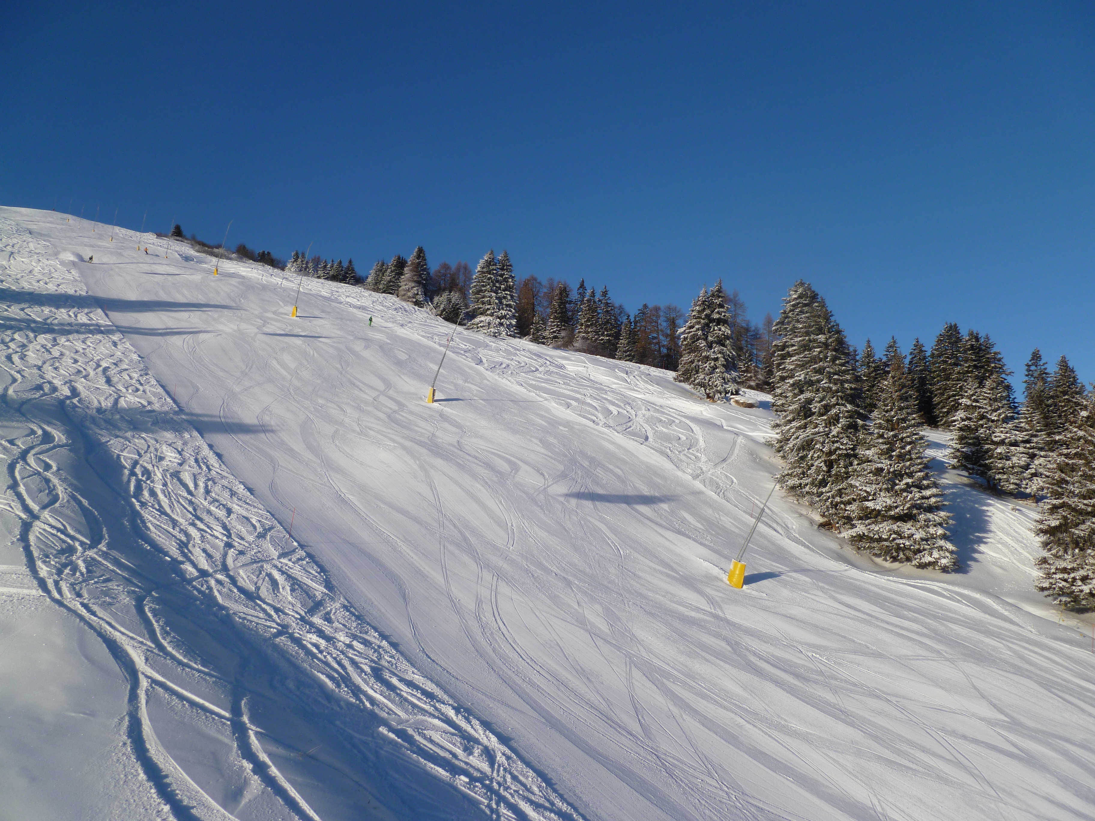 P1050342.JPG