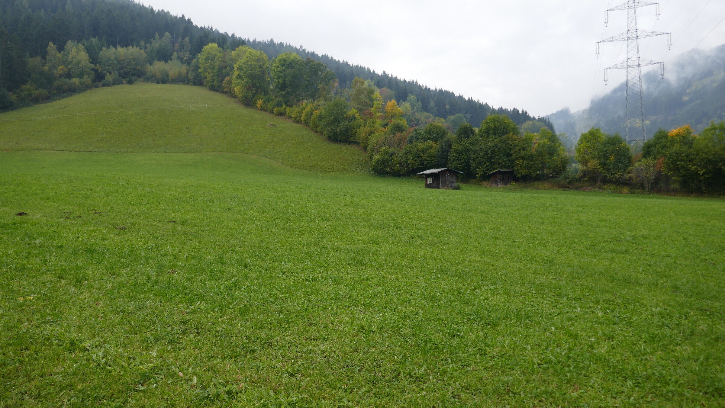 P1050406.JPG