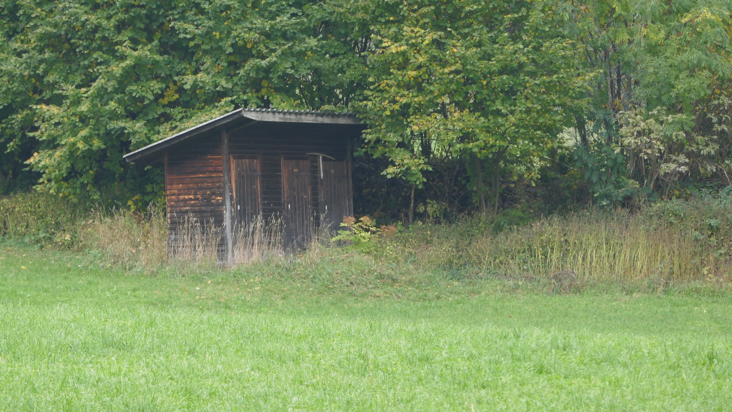 P1050408.JPG