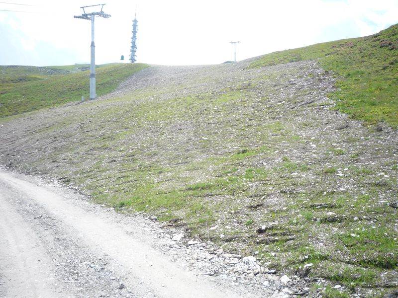 P1050415.JPG