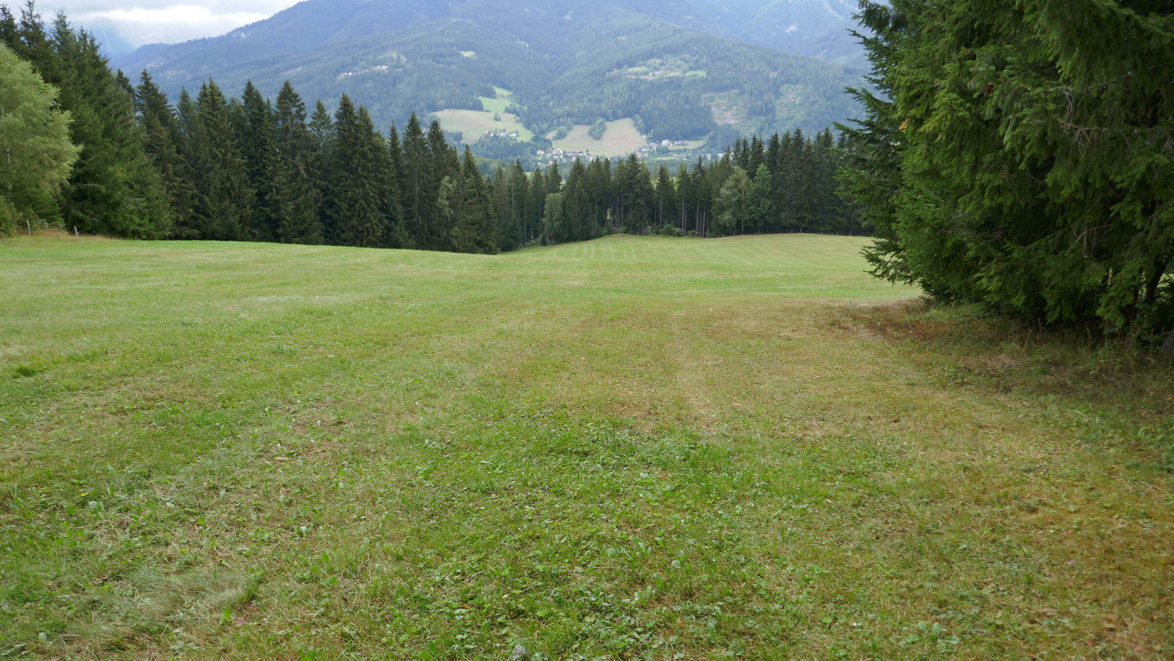 P1060013.JPG