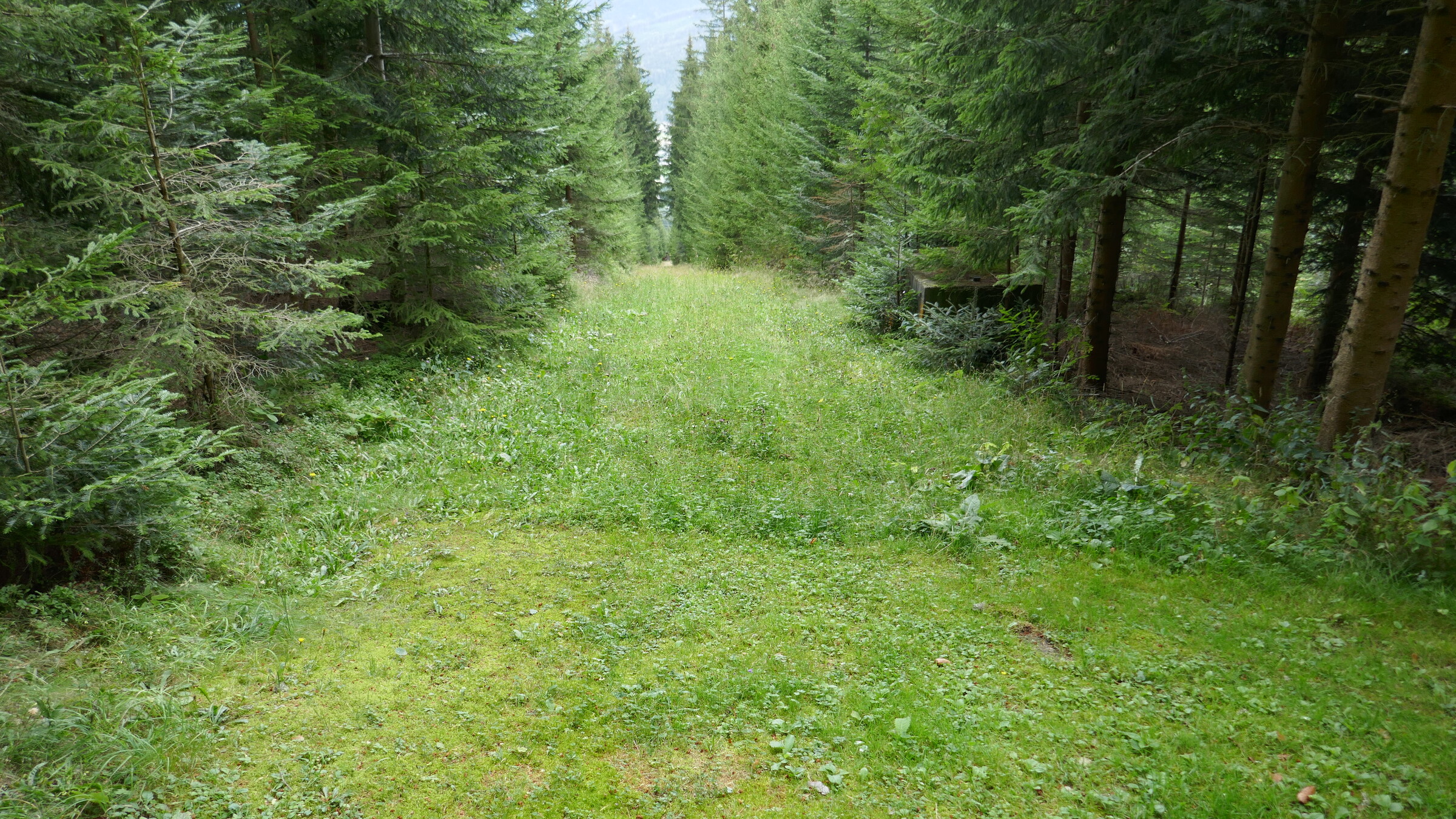 P1060032.JPG