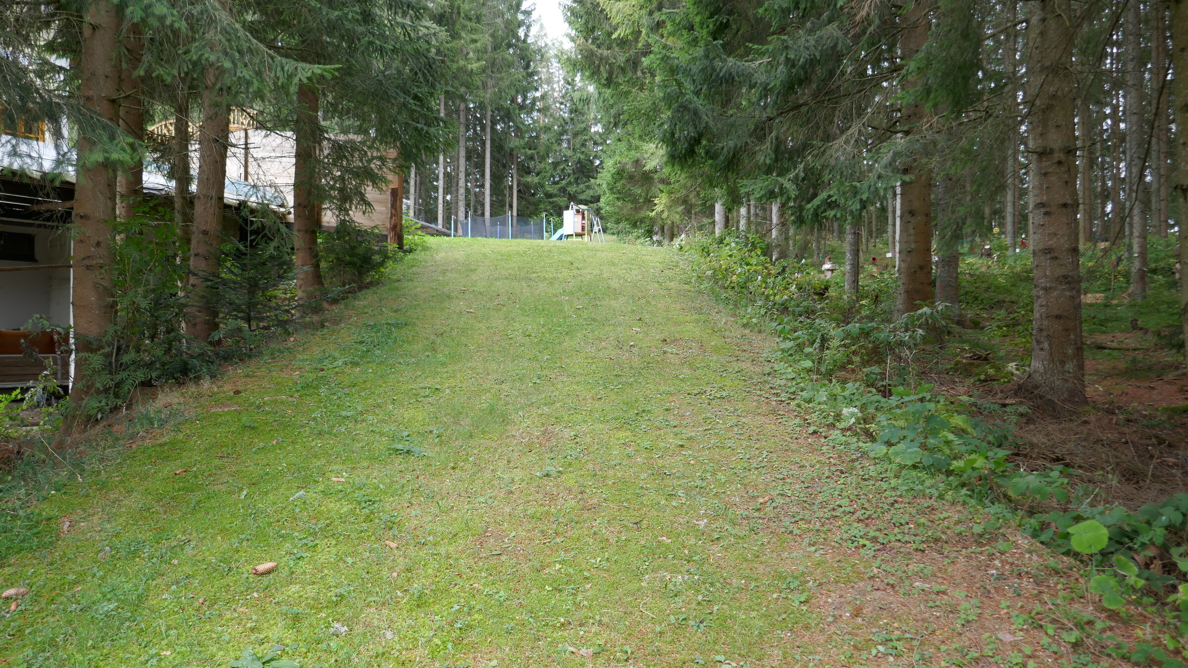 P1060033.JPG