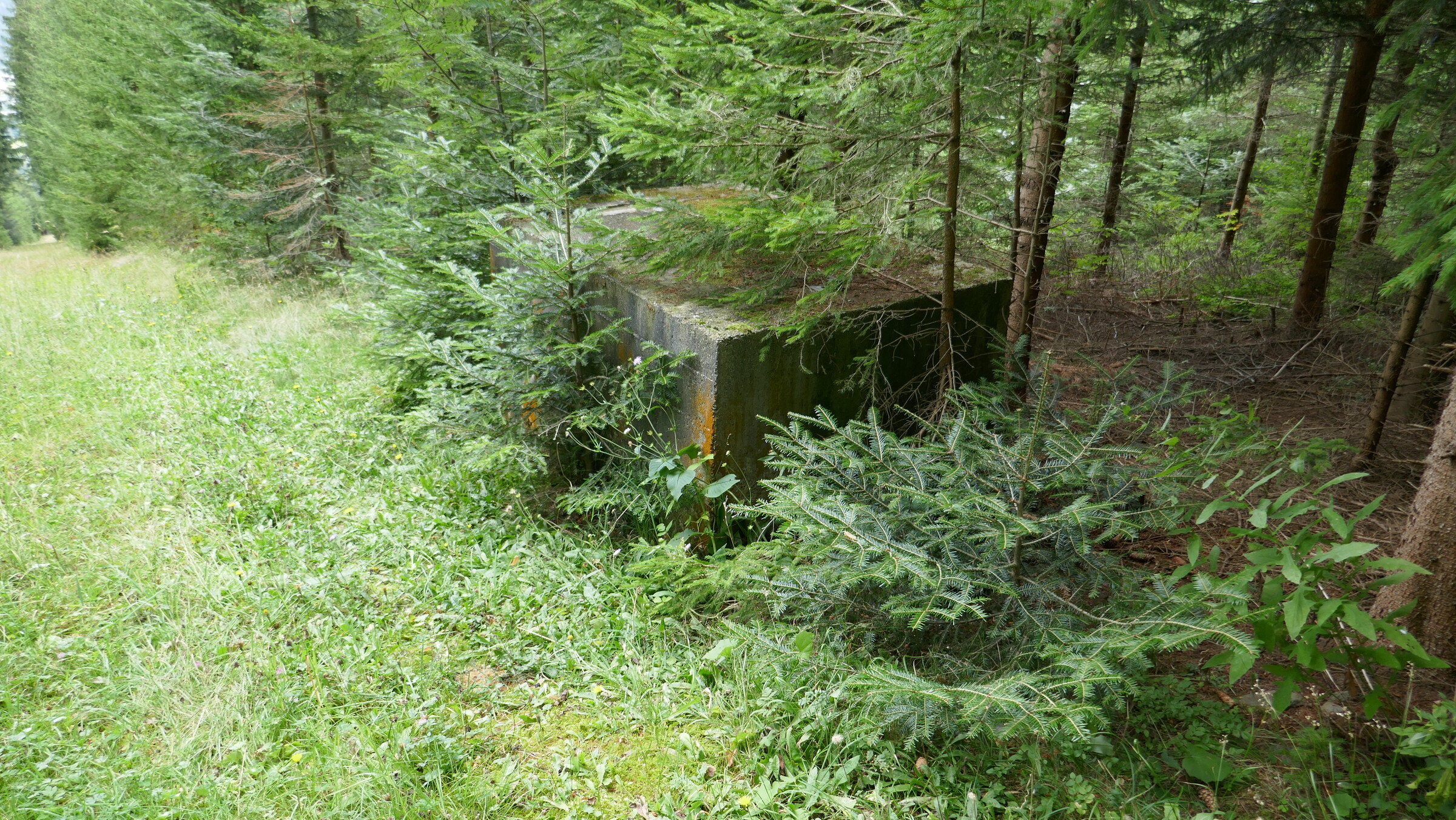 P1060034.JPG