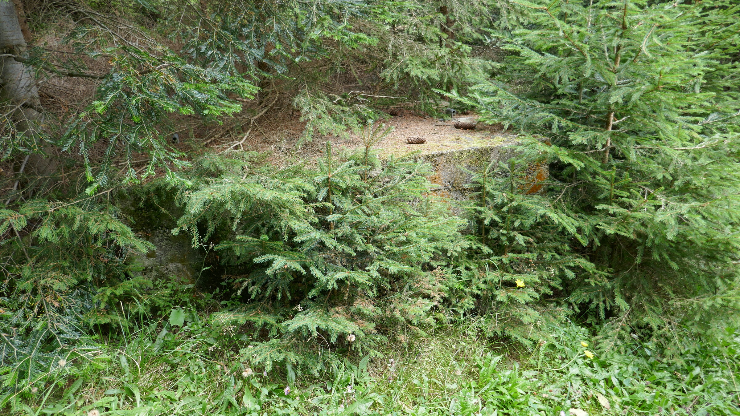 P1060035.JPG