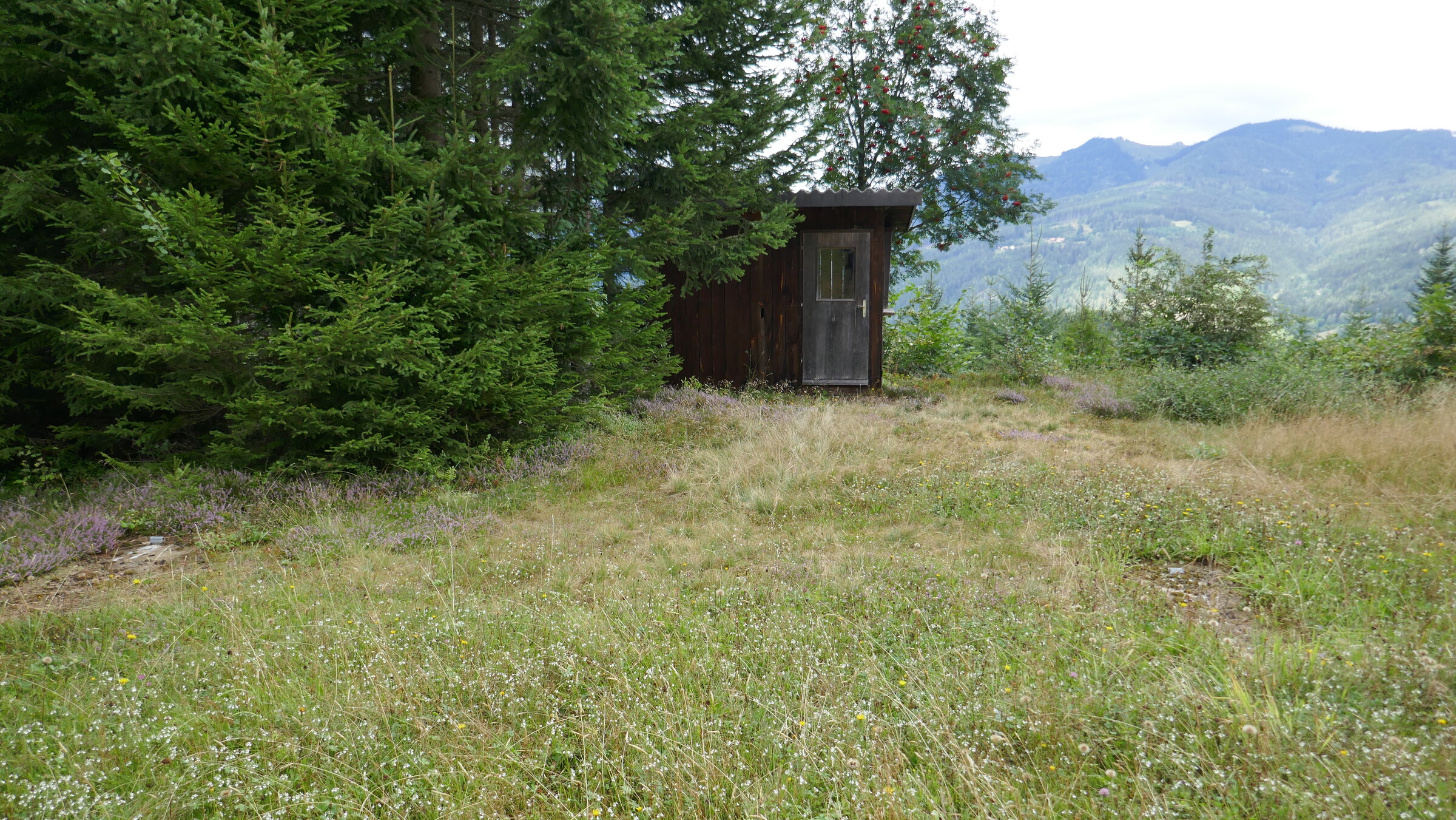 P1060048.JPG