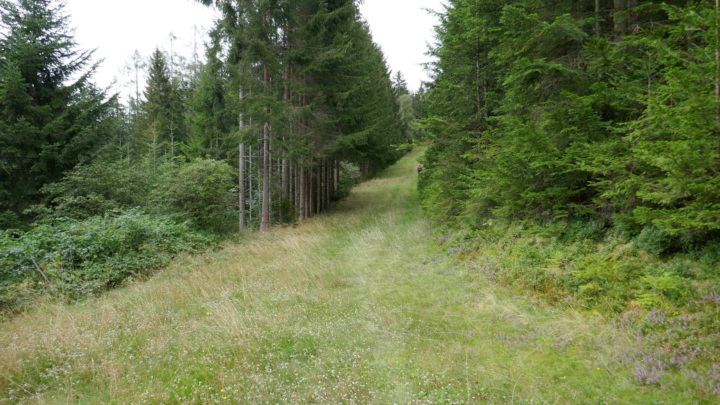 P1060049.JPG