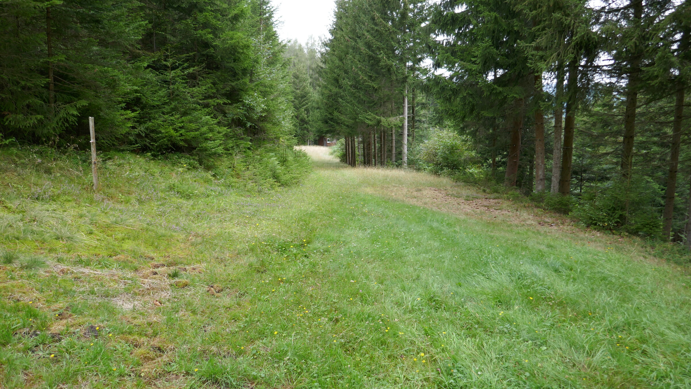 P1060050.JPG
