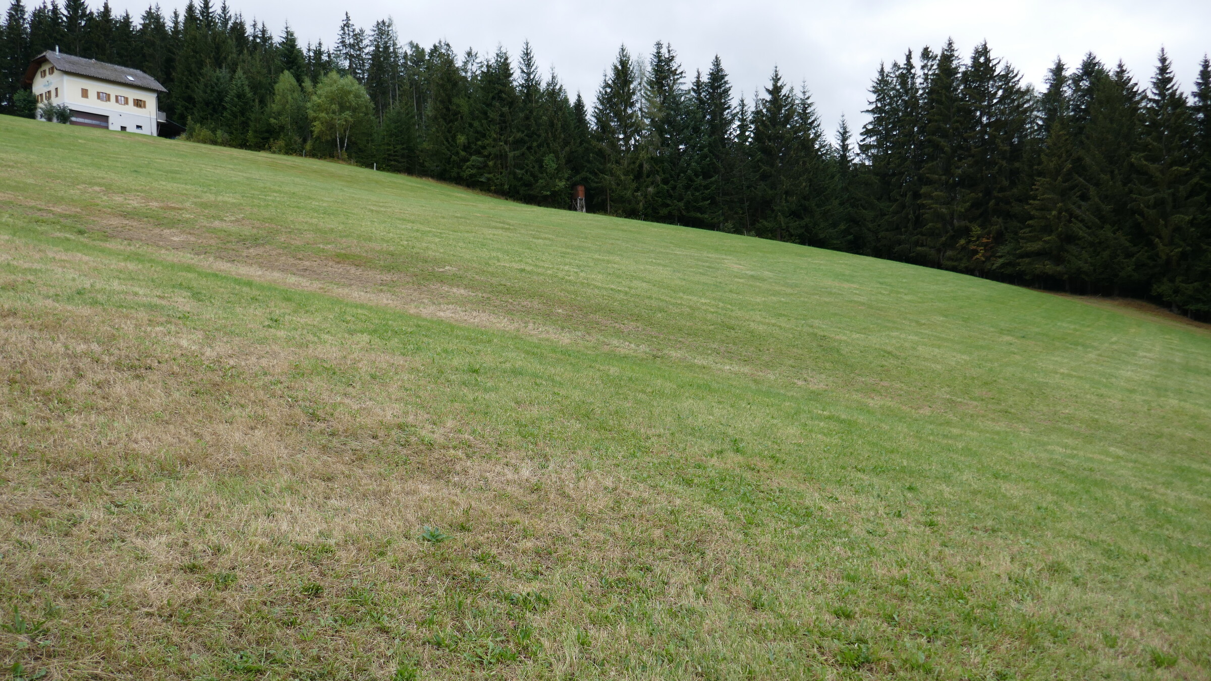 P1060057.JPG