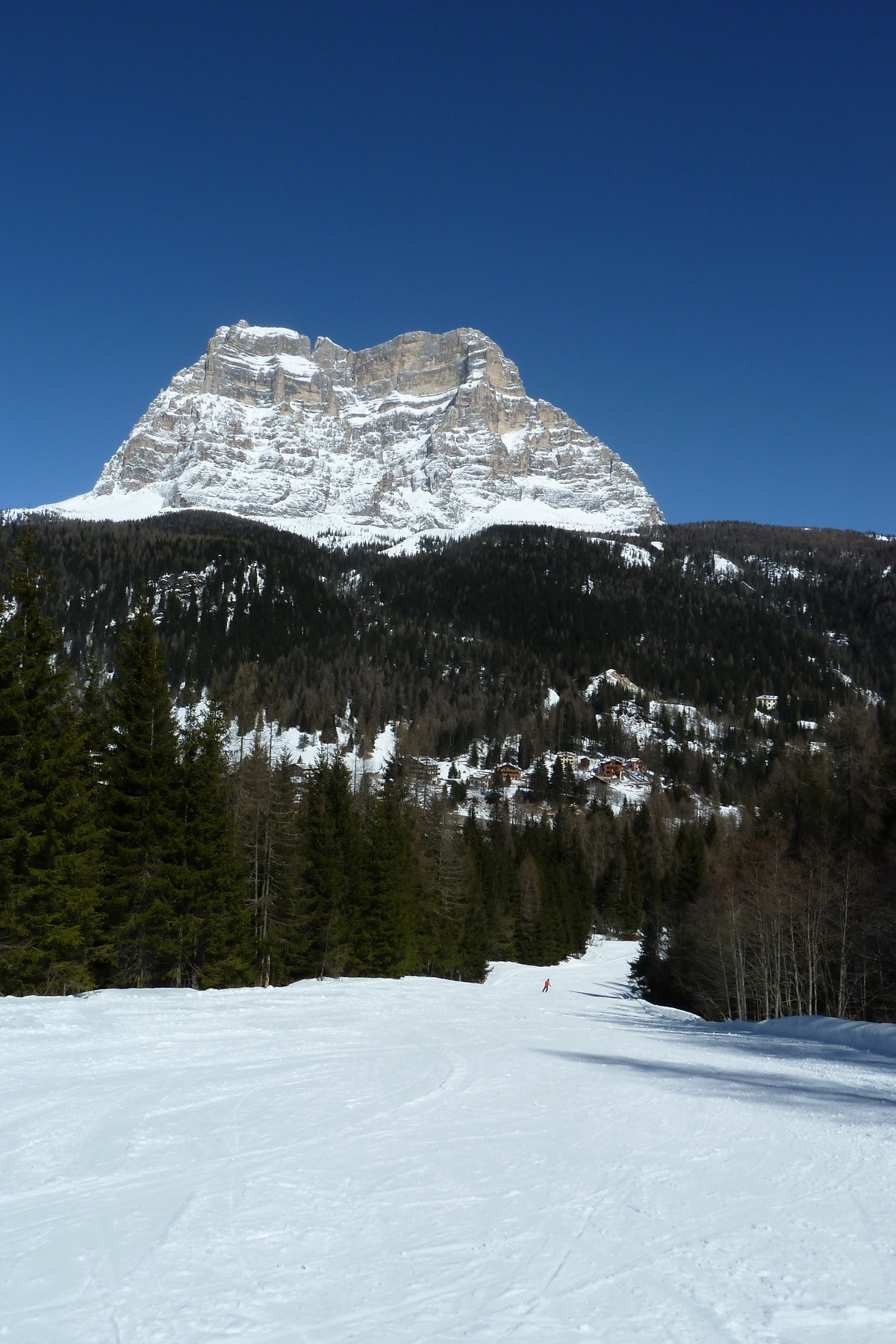 P1060243.JPG