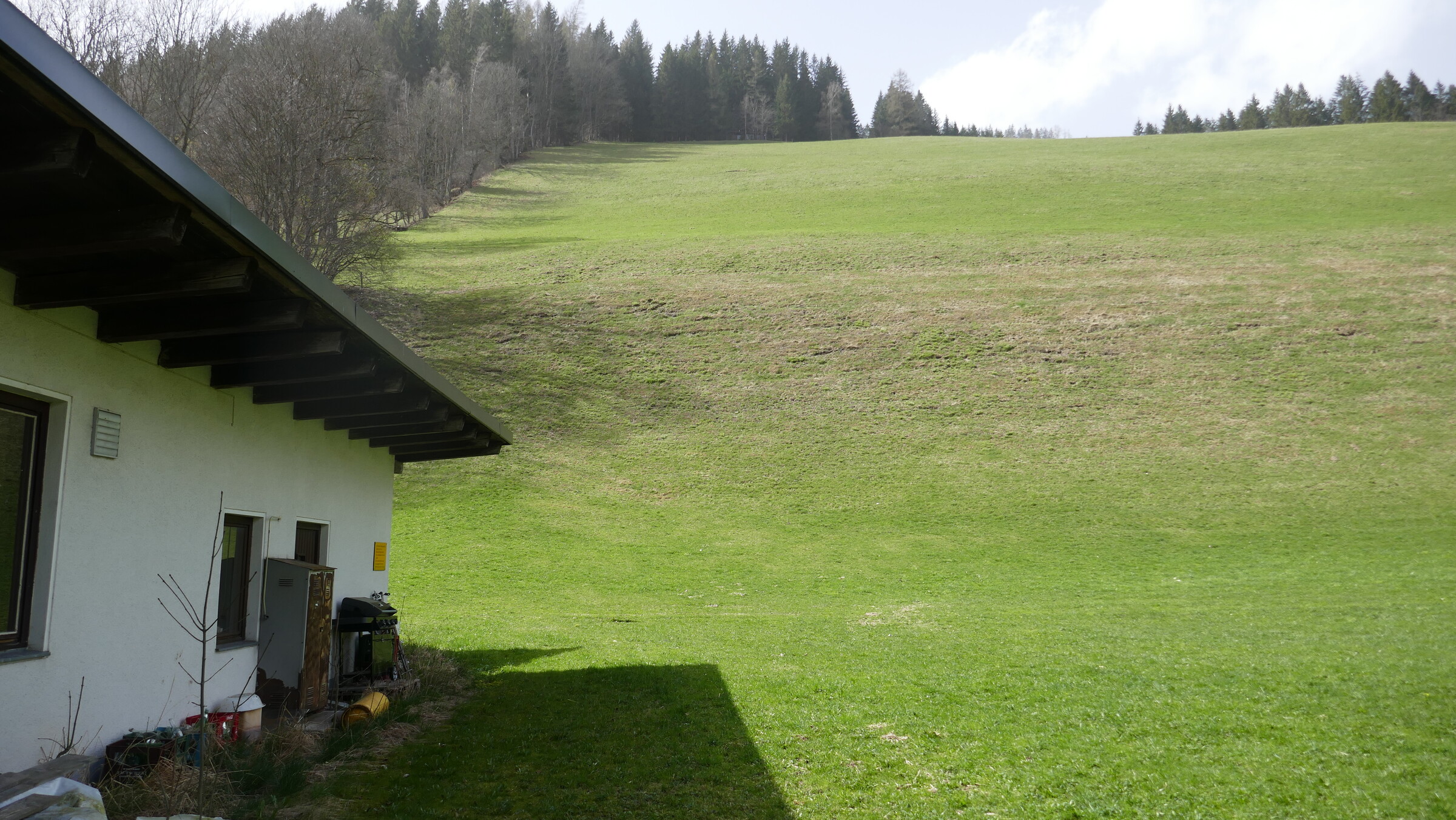 P1060613.JPG