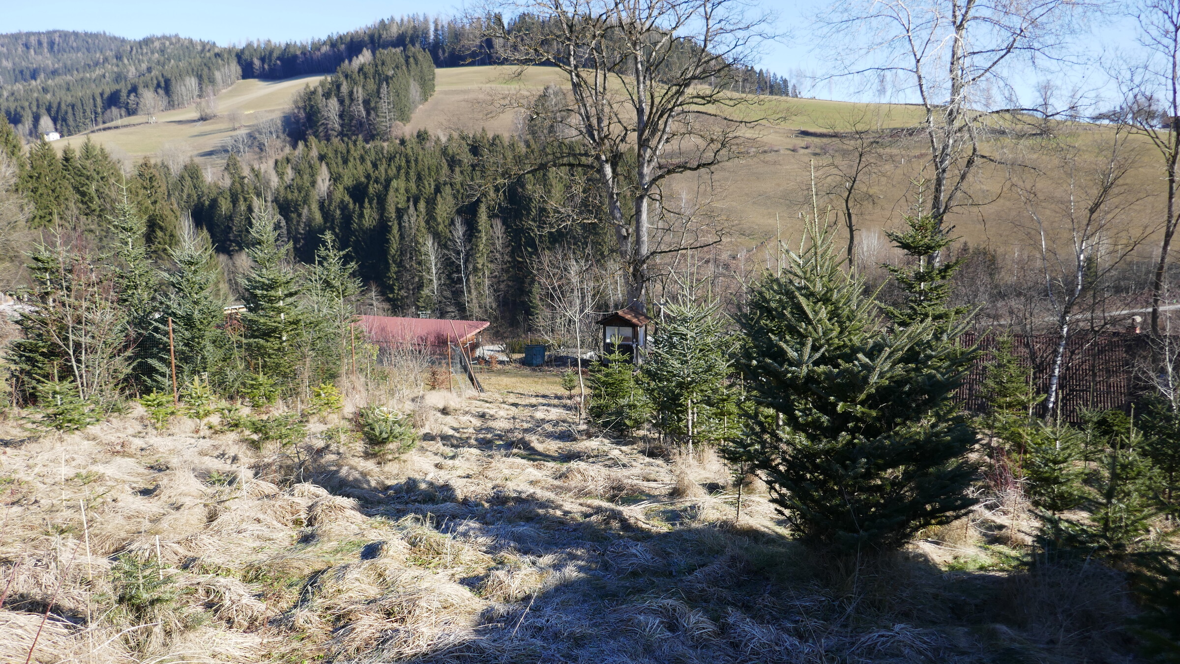 P1070023.JPG