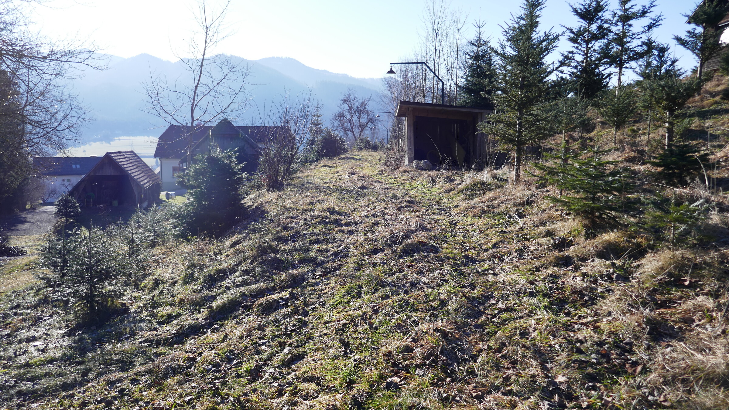 P1070025.JPG