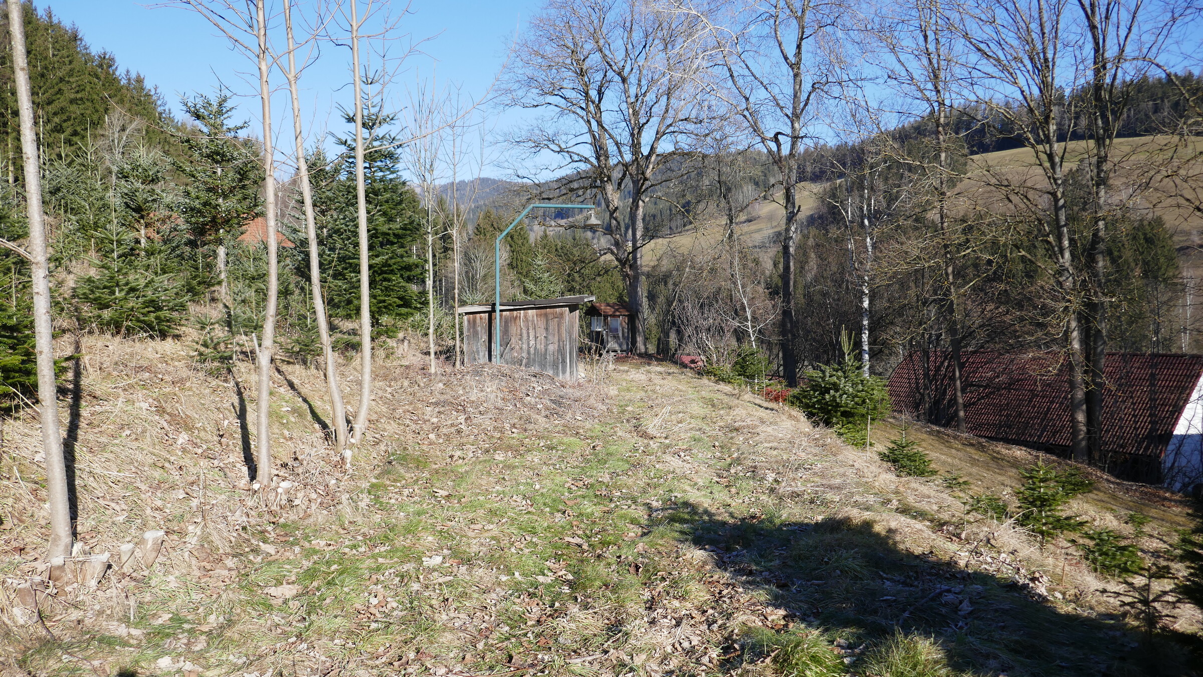 P1070031.JPG