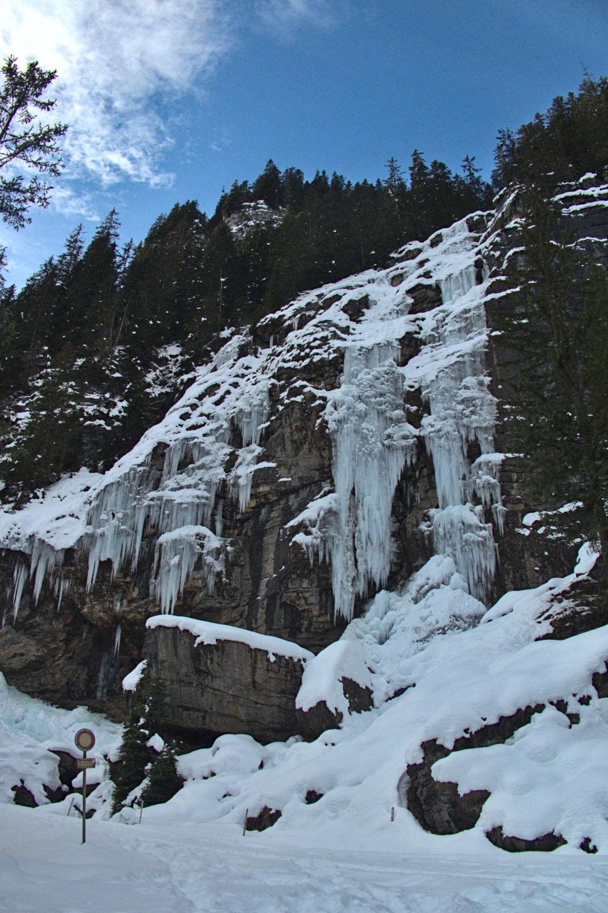 P1070427.jpg
