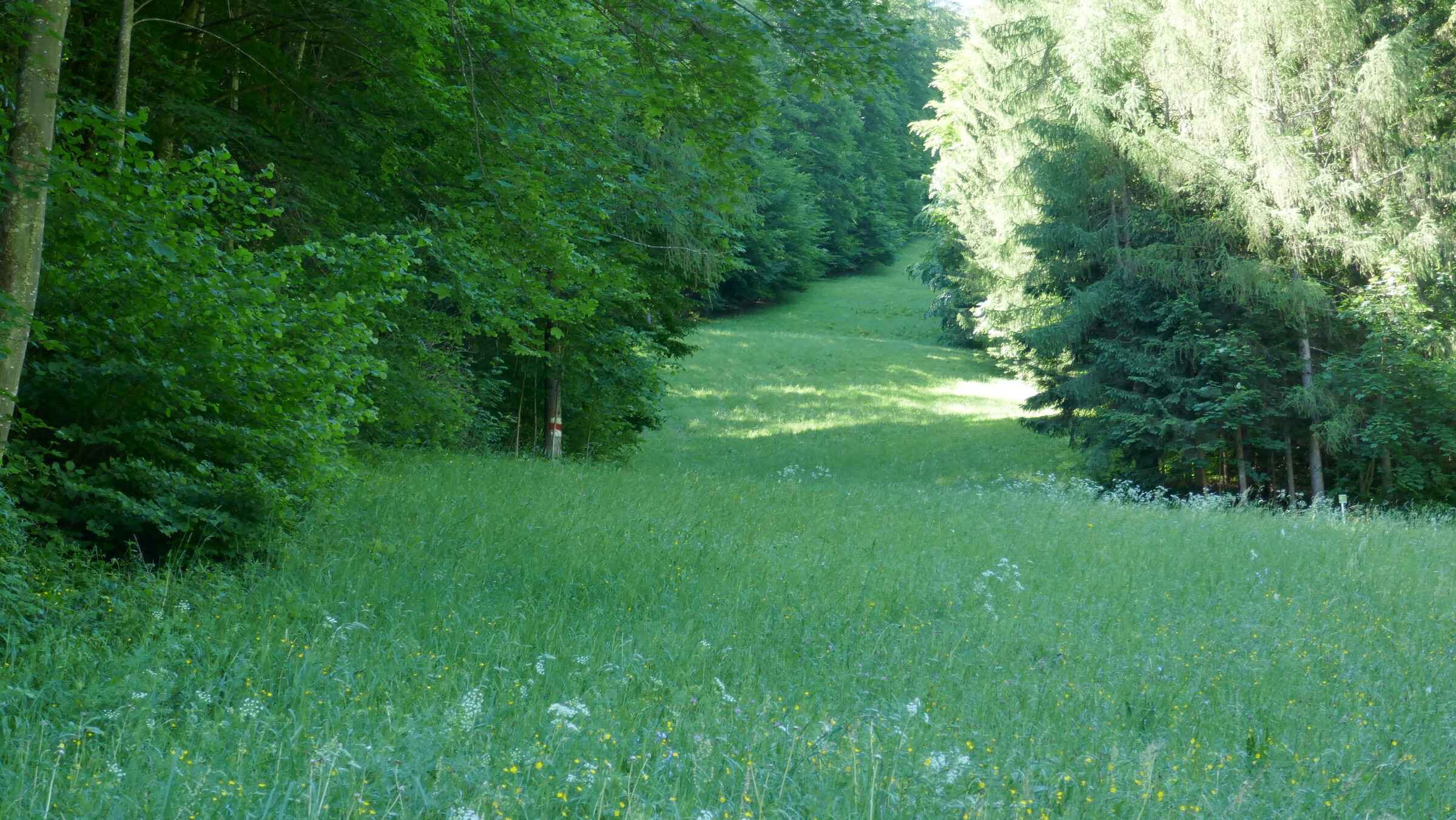 P1070580.JPG