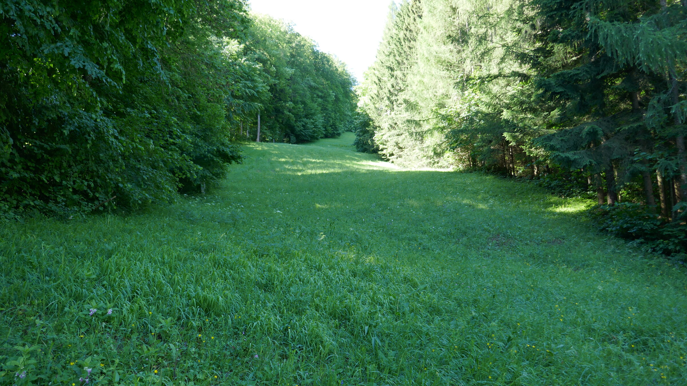 P1070581.JPG