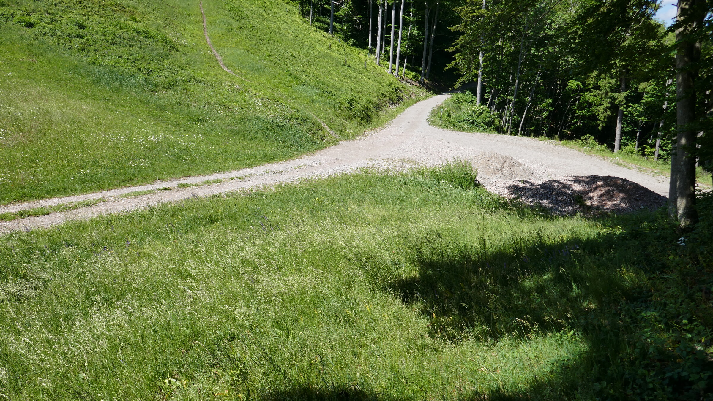 P1070593.JPG