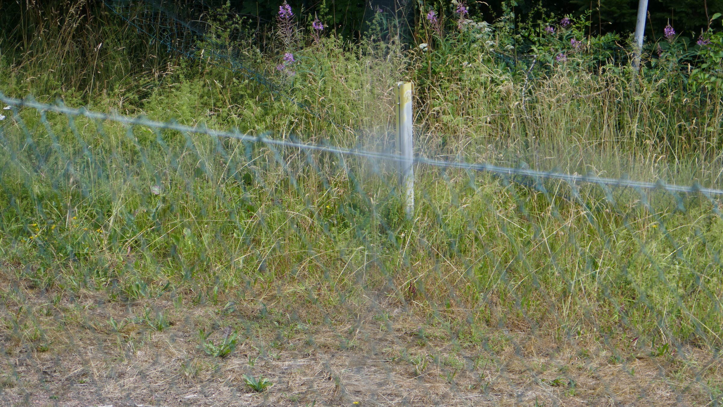 P1070699.JPG