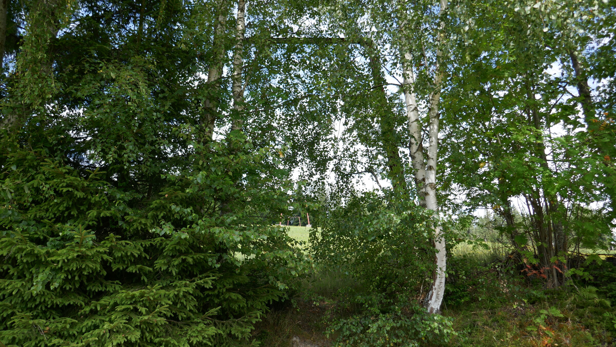 P1070704.JPG