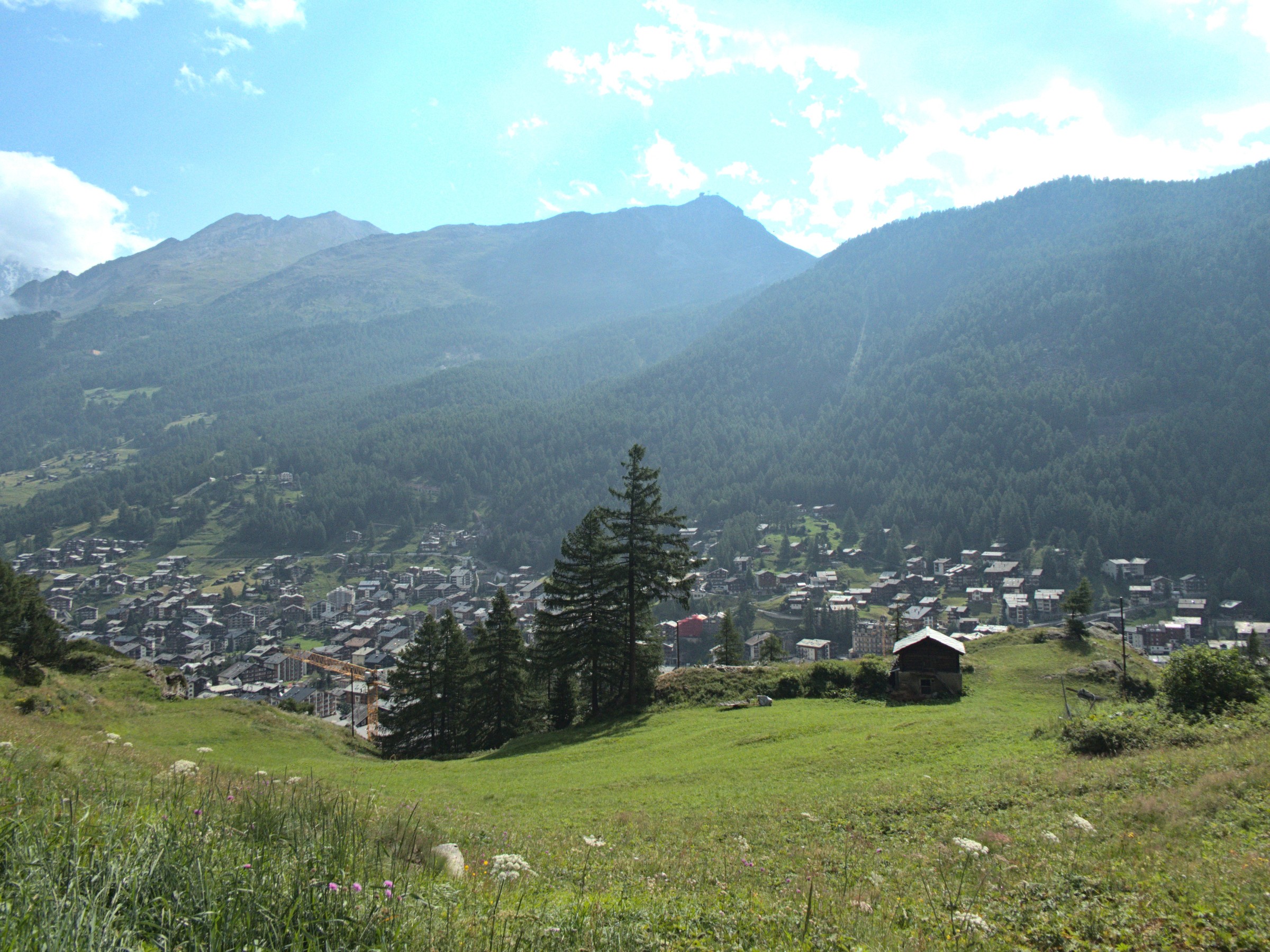 P1080176.jpg