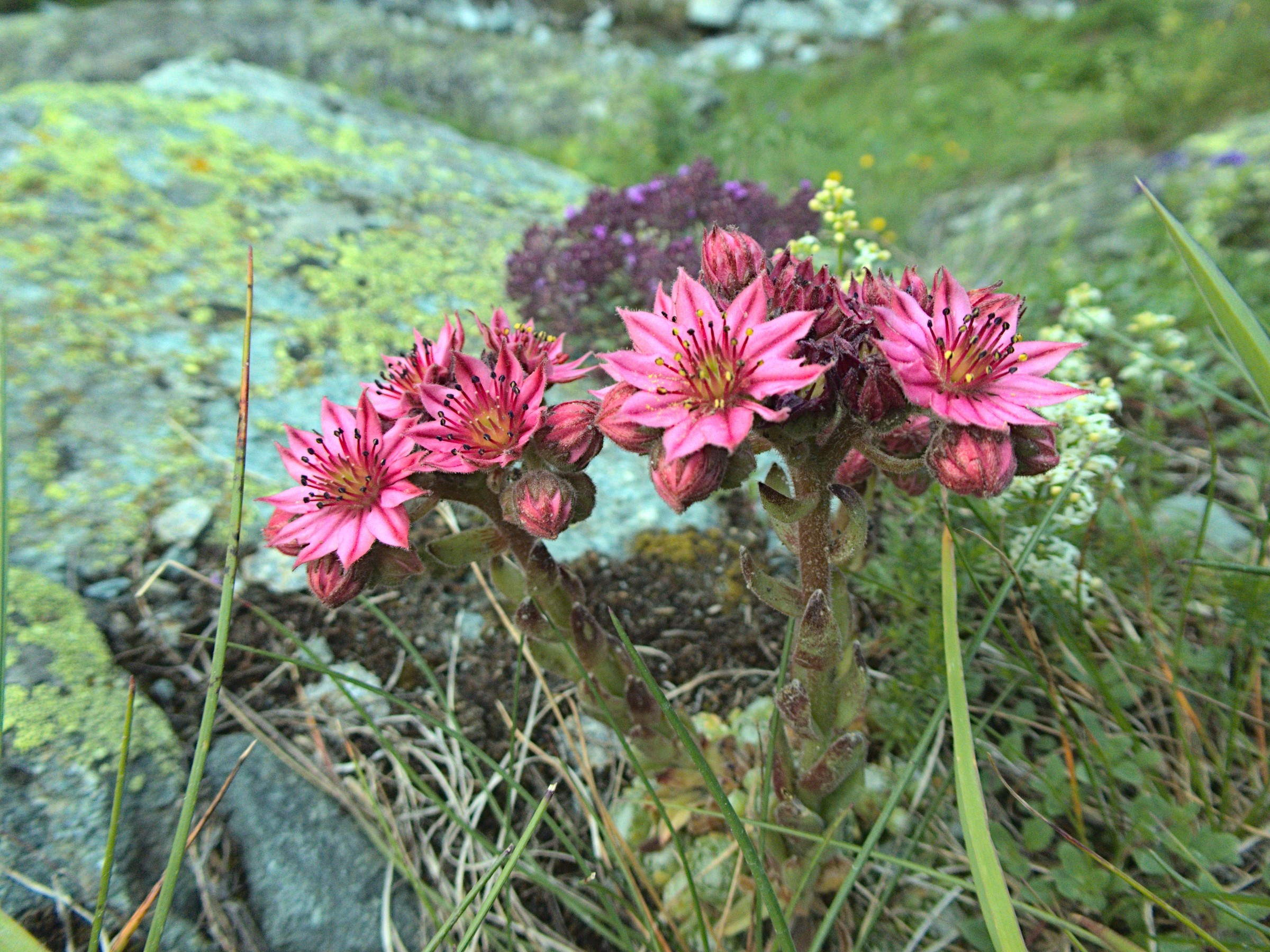P1080189.jpg