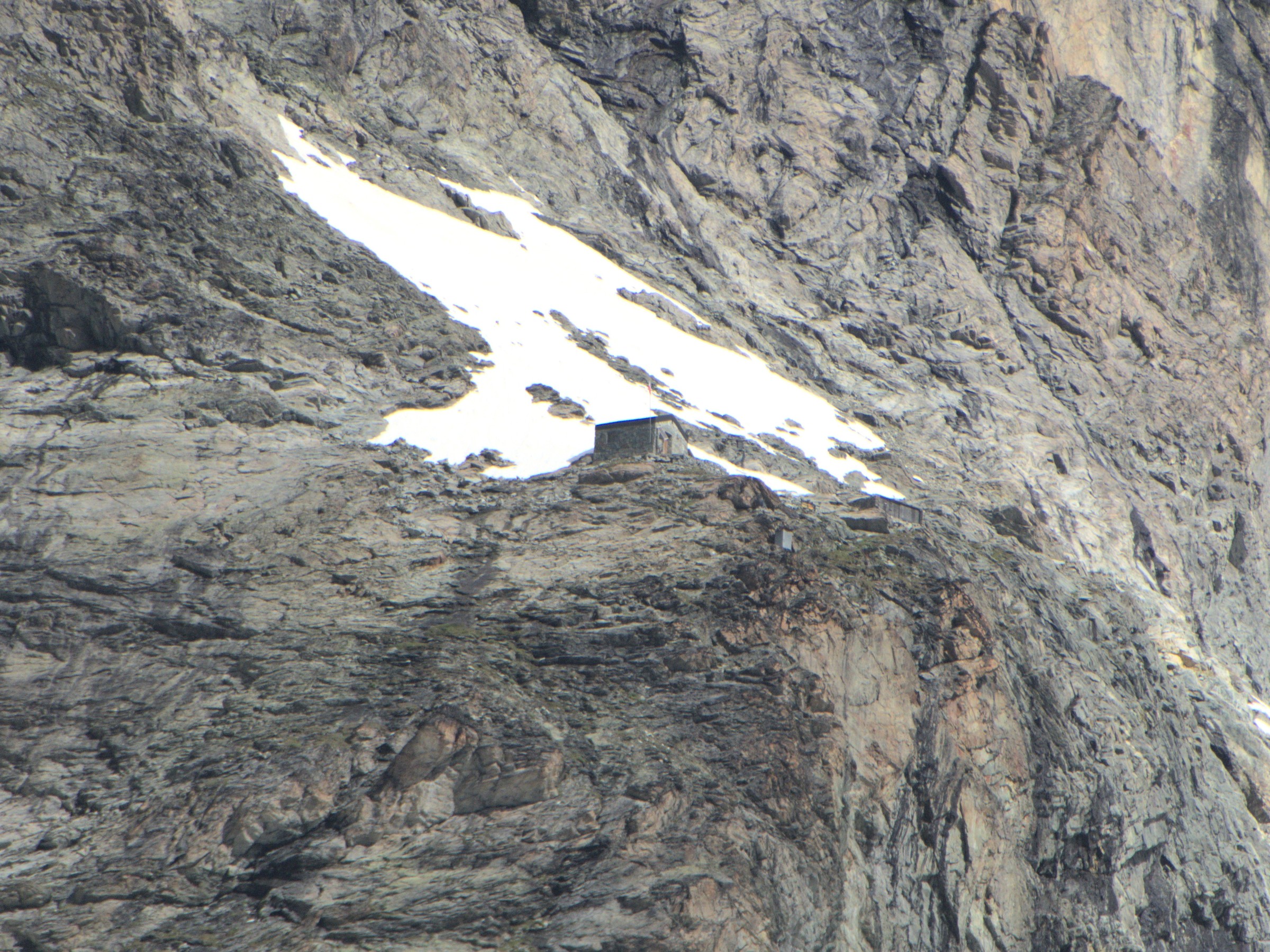 P1080331.jpg