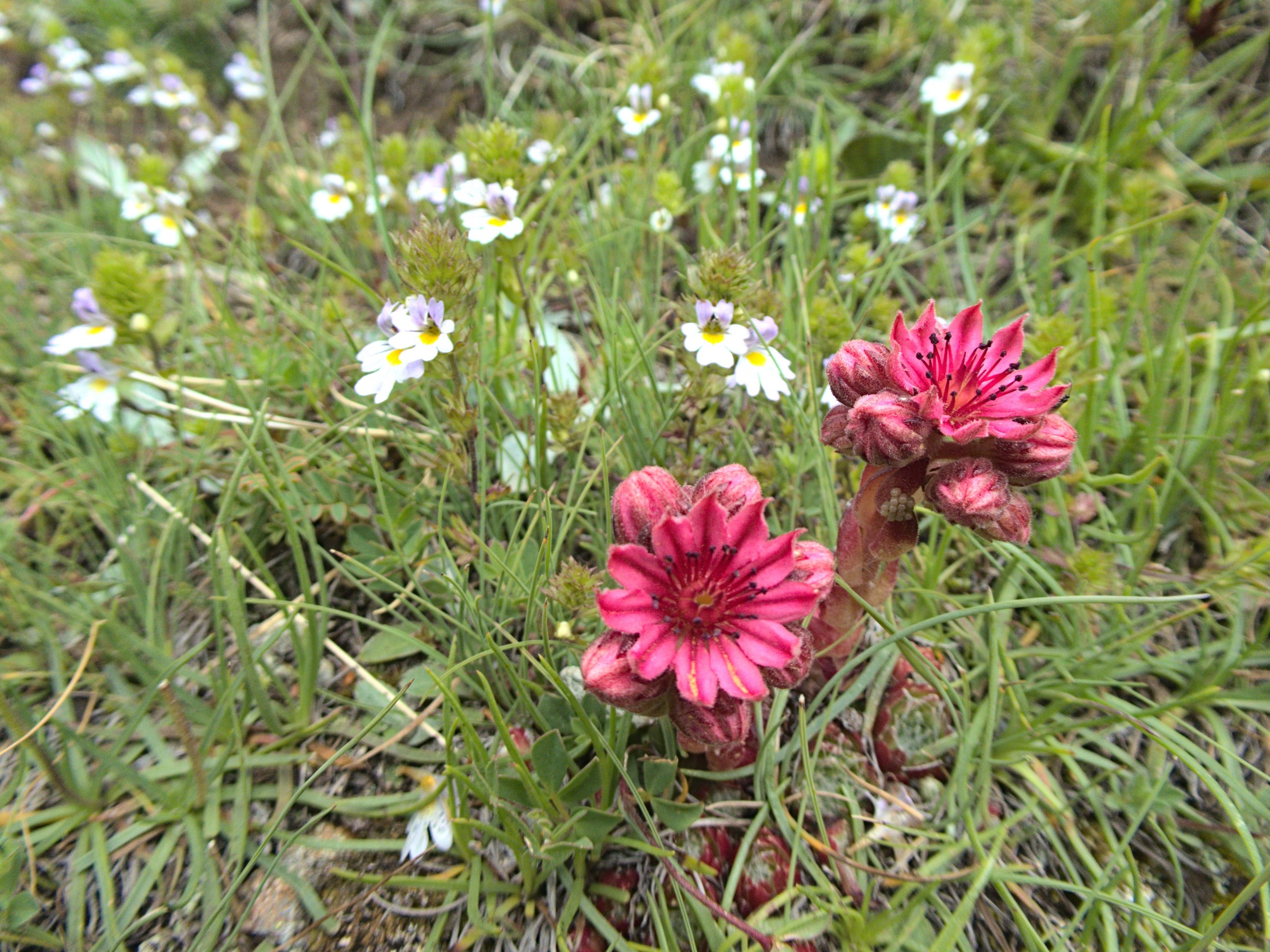 P1080354.jpg