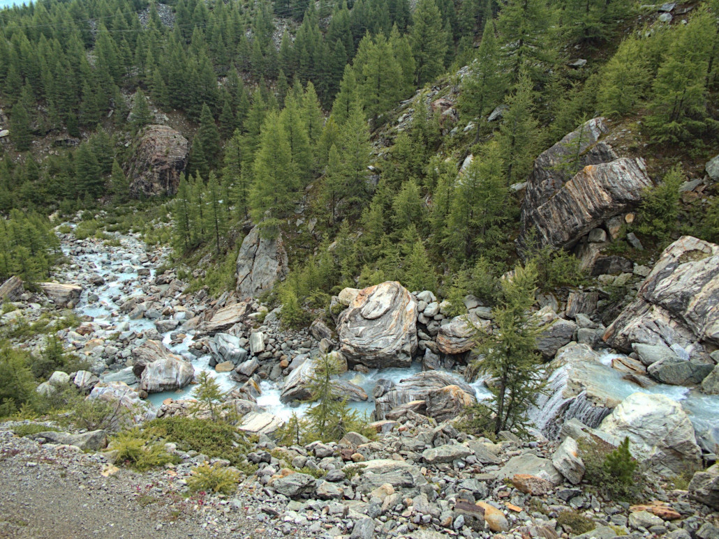 P1080435.jpg