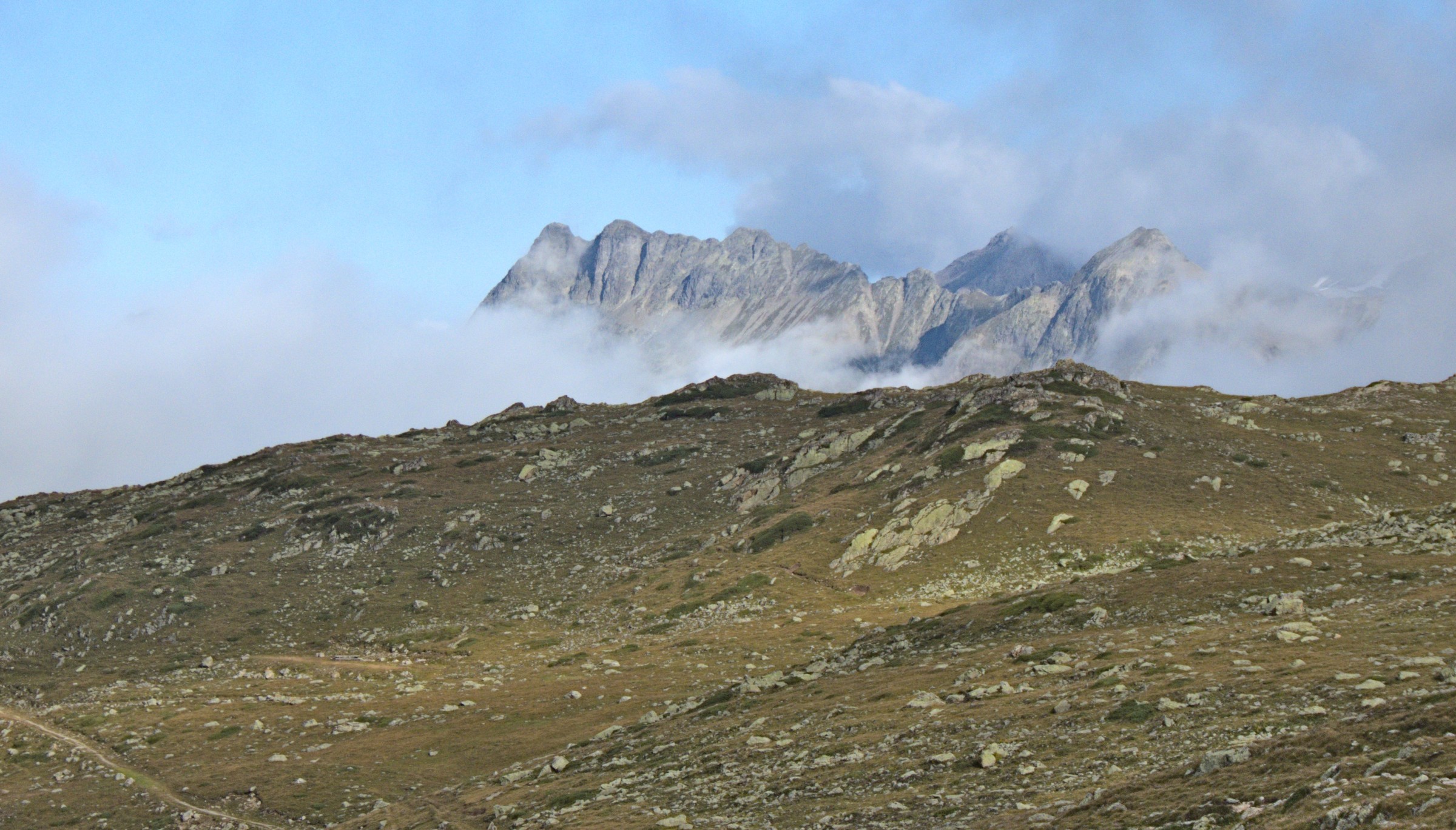 P1080847.jpg