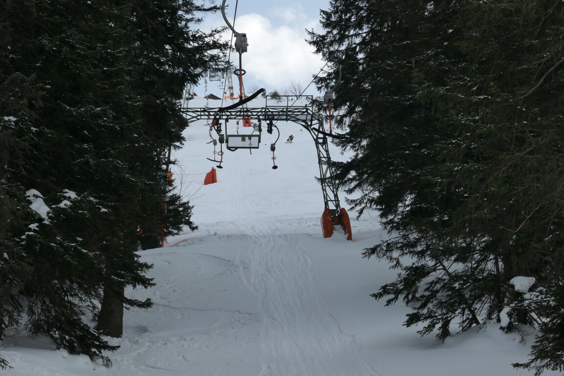 P1088237.JPG
