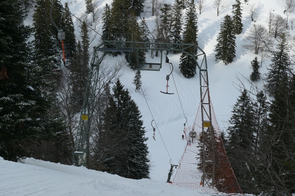 P1088239.JPG