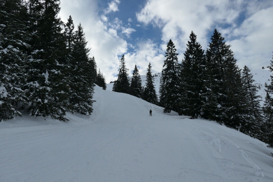 P1088248.JPG