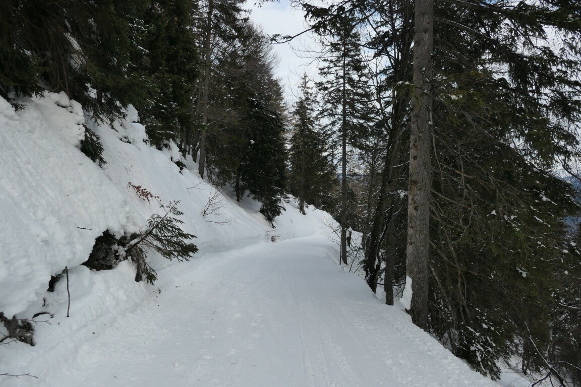 P1088261.JPG