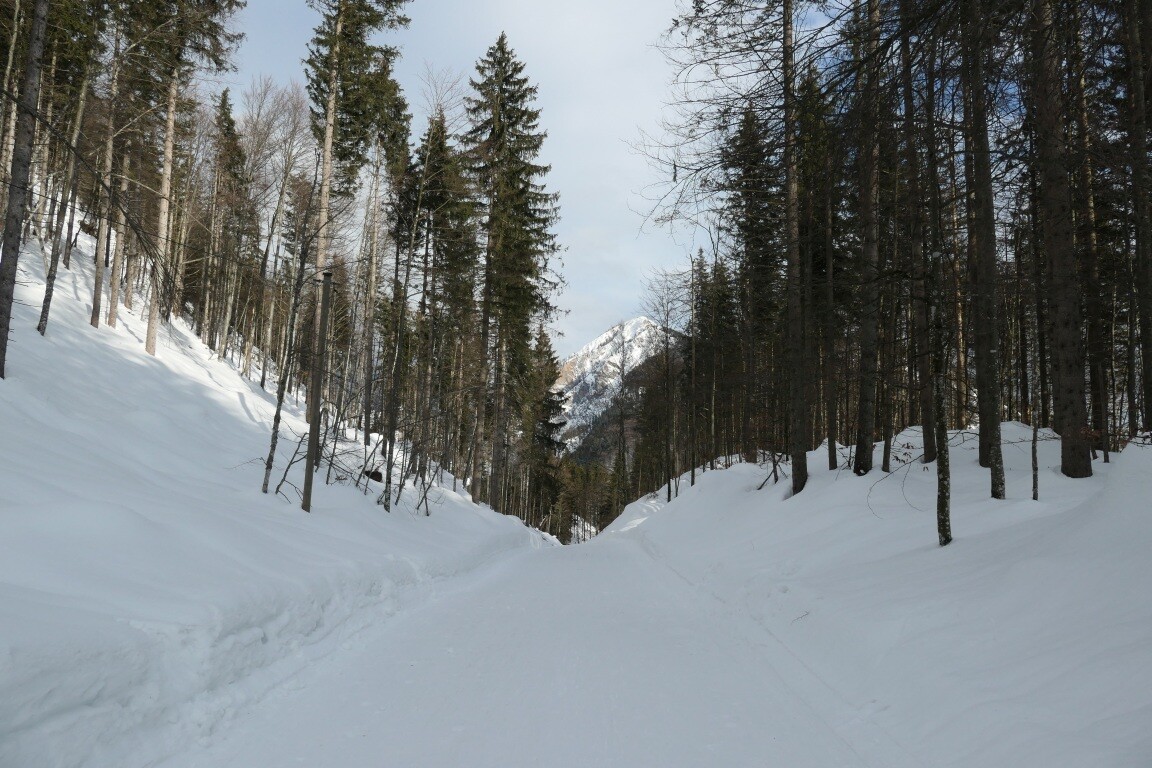 P1088348.JPG