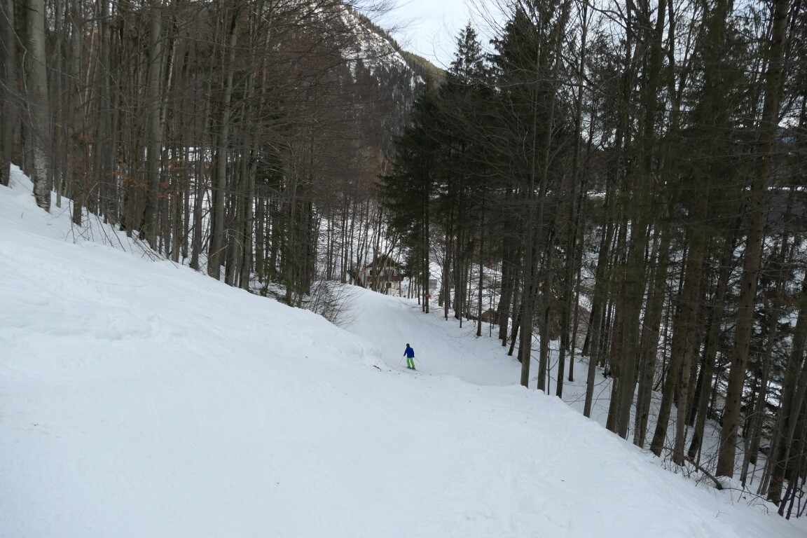 P1088378.JPG