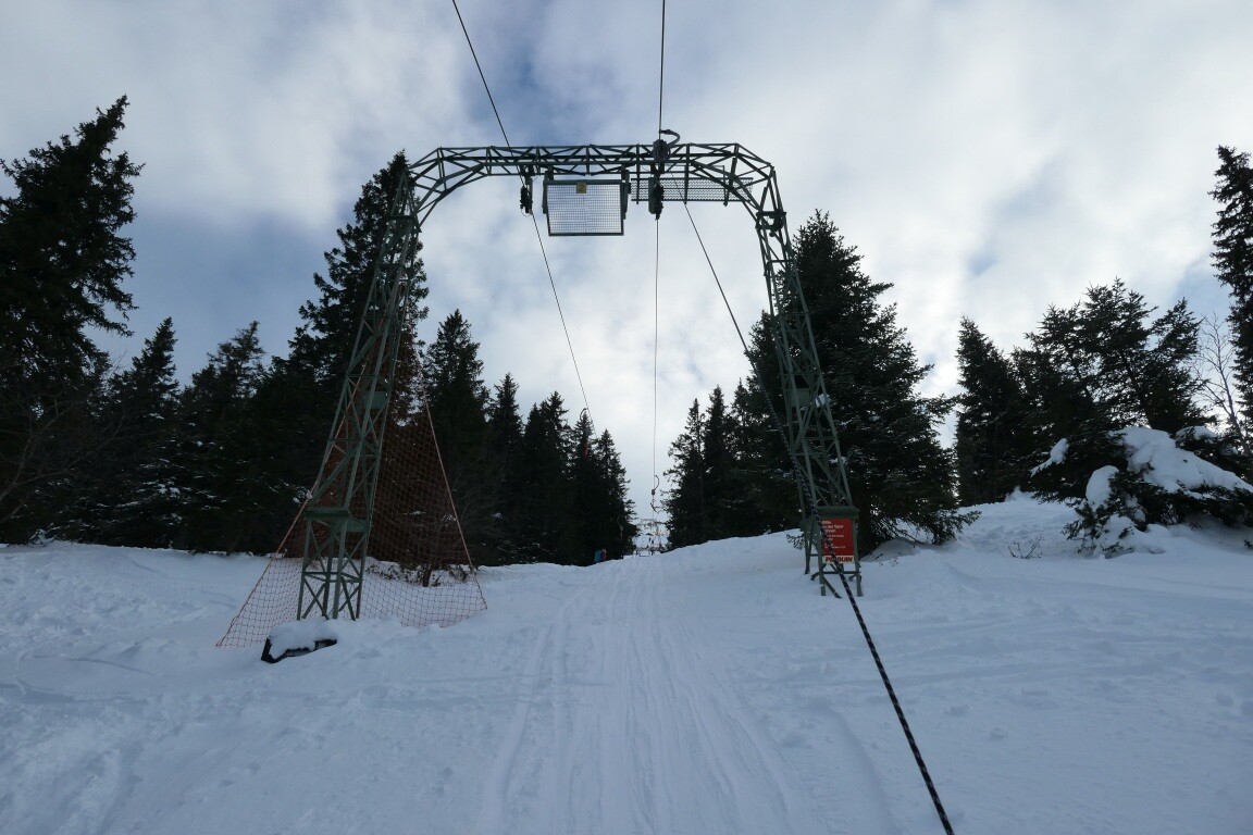 P1088500.JPG