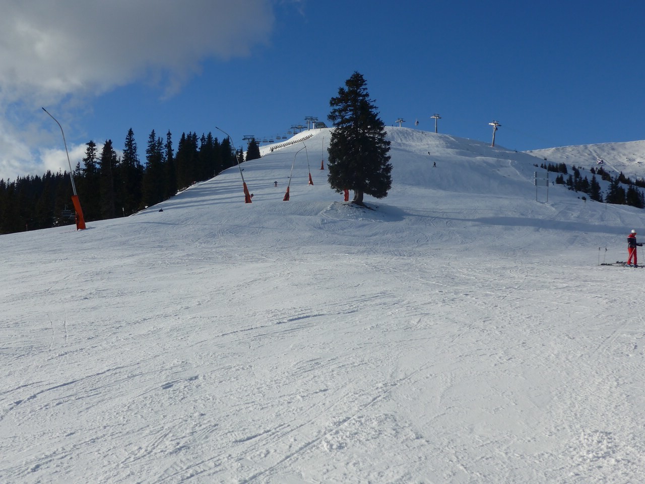 P1110034.jpg